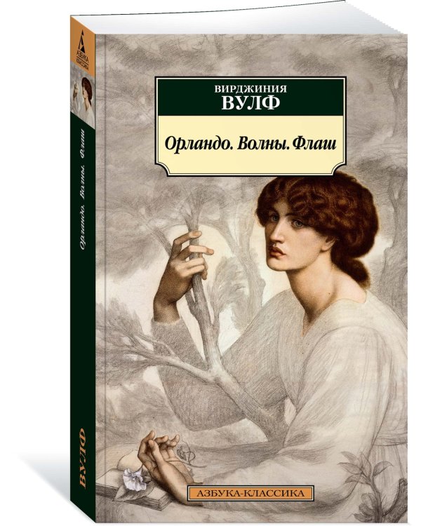 Орландо. Волны. Флаш