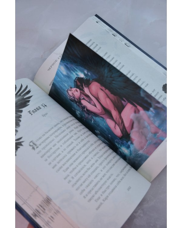 Дополнительное изображение книги «Черное сердце фейри»