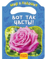 Вот так цветы! (МвЛ)