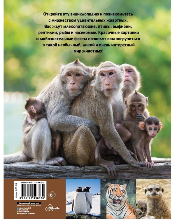Мир животных