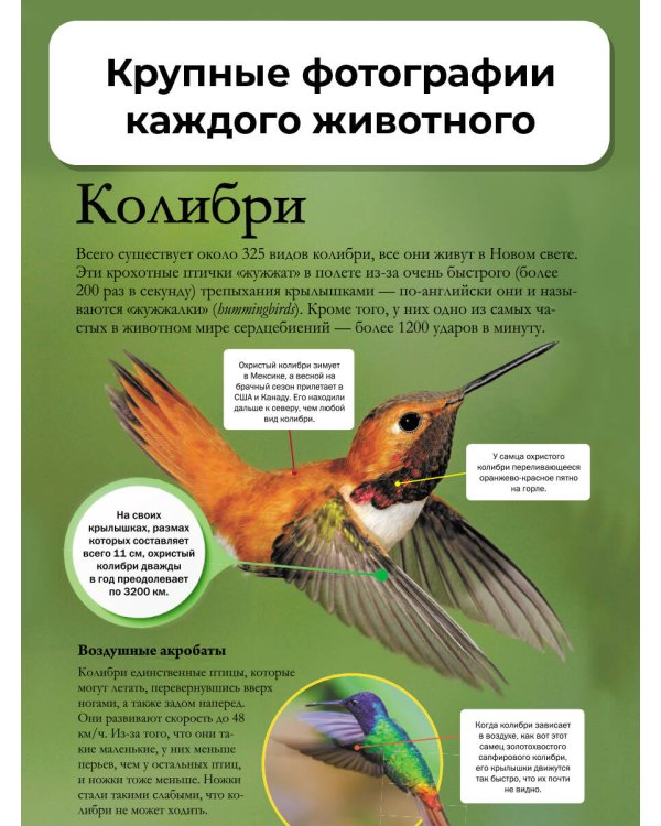 Мир животных