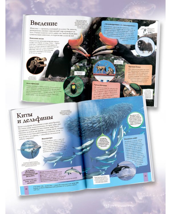 Мир животных