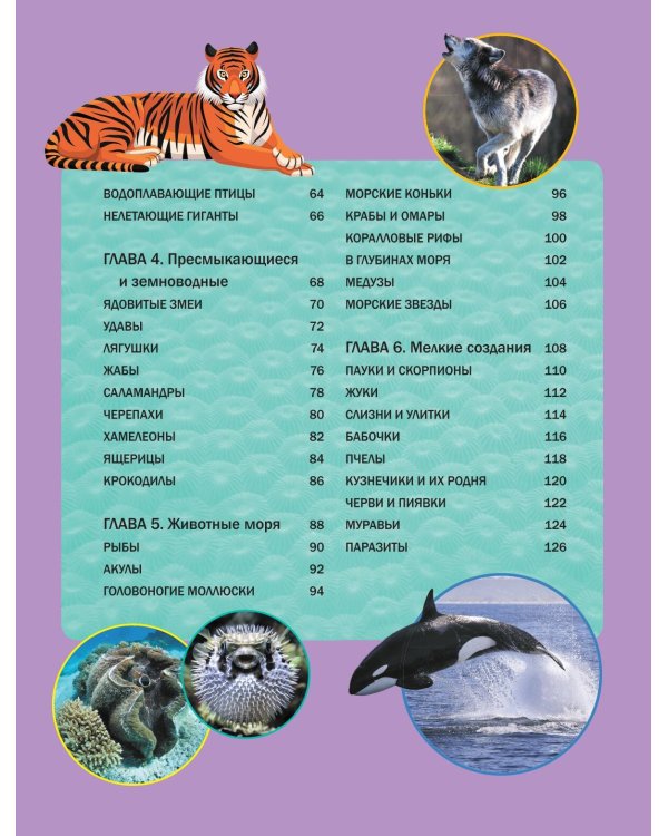 Мир животных