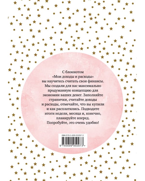 Мои доходы и расходы. Умный блокнот. Большой CashBook (Stars)