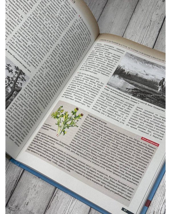 Сибирь и Дальний Восток. История освоения Азиатской части России