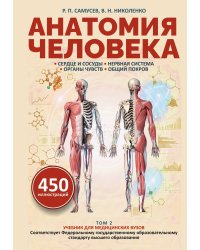 Анатомия человека. Сердце и сосуды, нервная система, органы чувств, общий покров