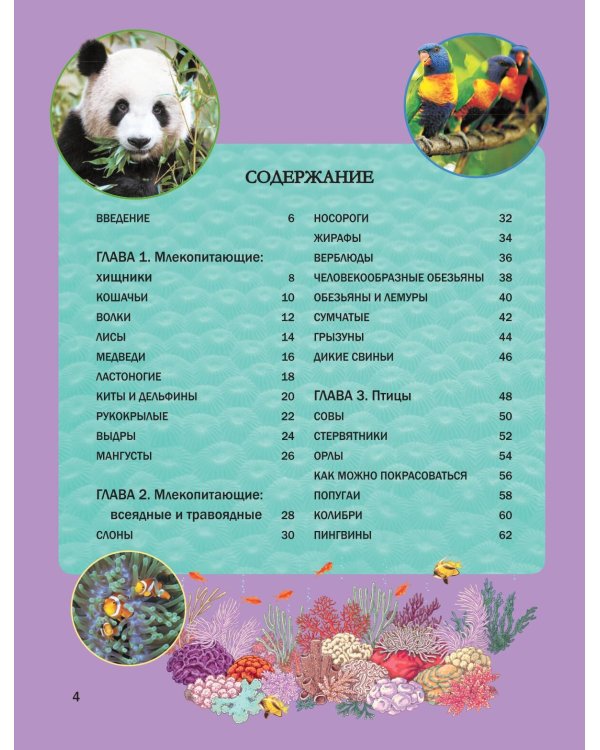 Мир животных