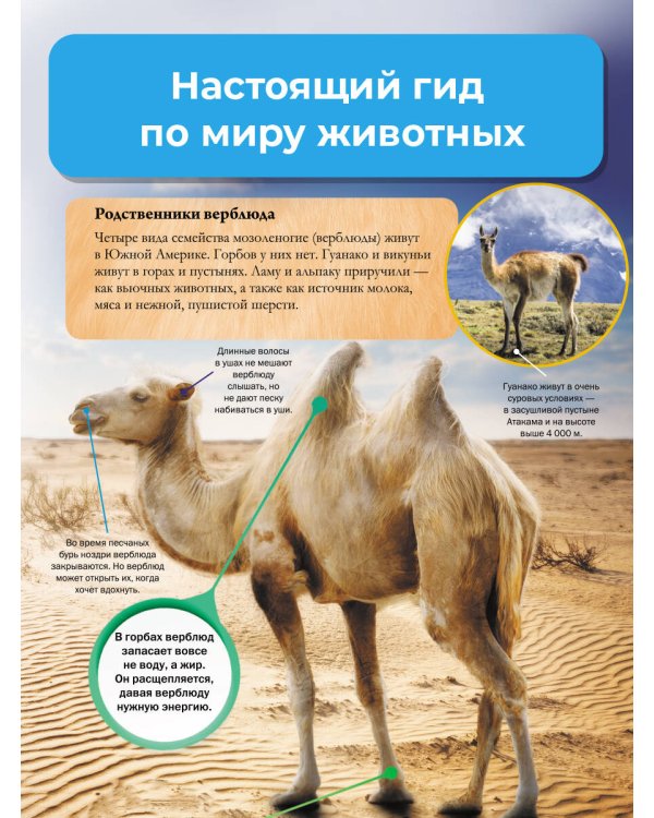 Мир животных