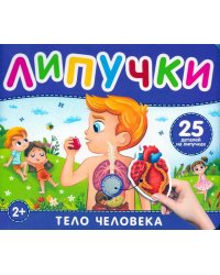 Тело человека. Книга с липучками