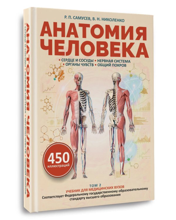Анатомия человека. Сердце и сосуды, нервная система, органы чувств, общий покров
