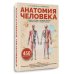 Анатомия человека. Сердце и сосуды, нервная система, органы чувств, общий покров