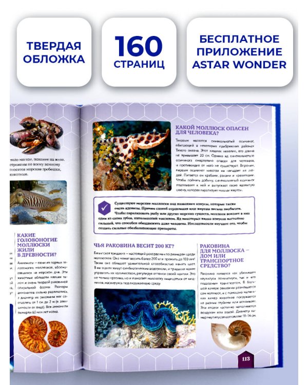 Большая книга почему