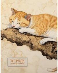 Тетрадь для иероглифов (рыжий котик)