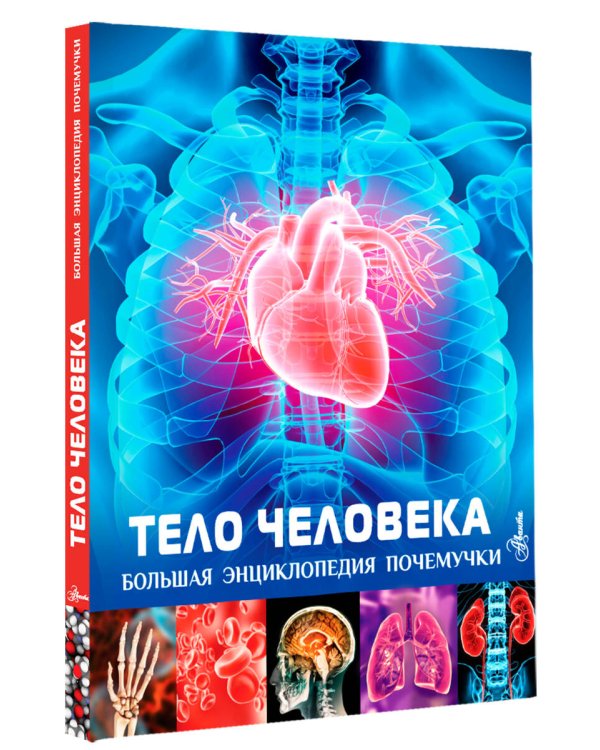 Тело человека