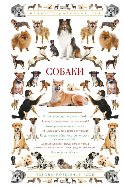 Собаки. Иллюстрированный гид