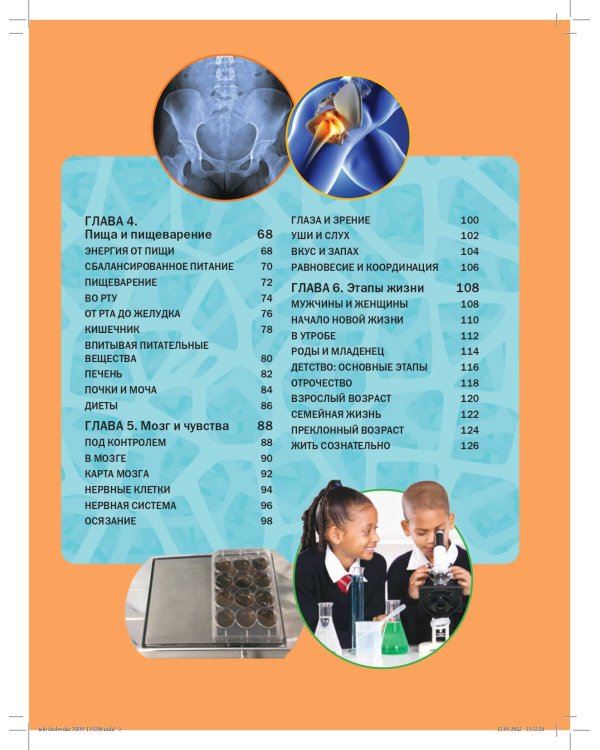 Тело человека