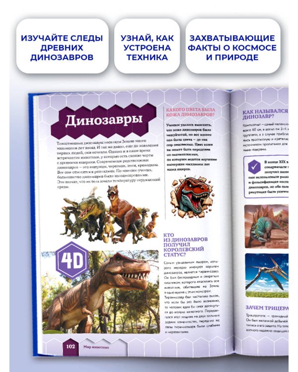 Большая книга почему