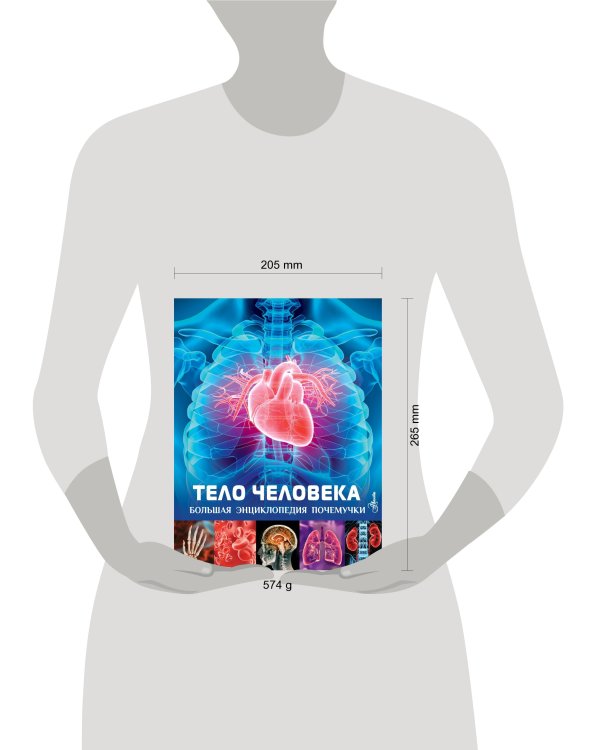 Тело человека