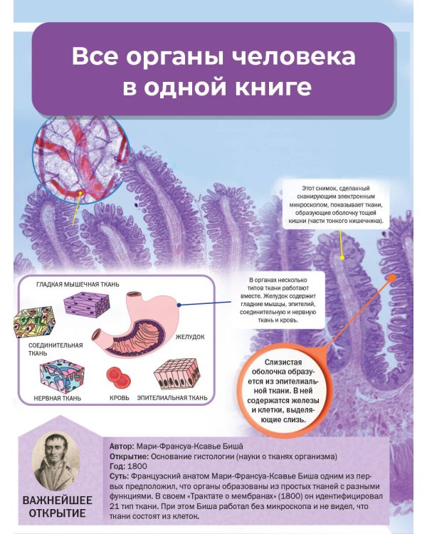 Тело человека