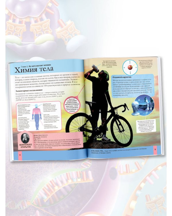 Тело человека