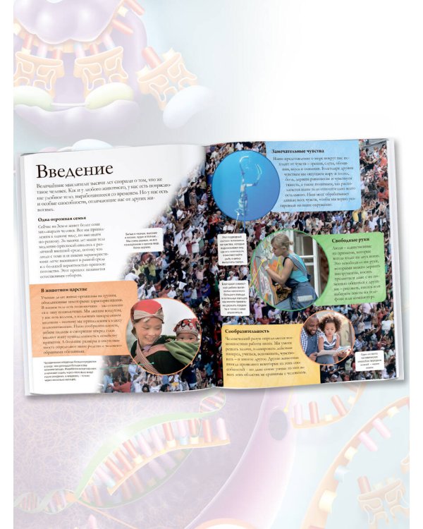 Тело человека