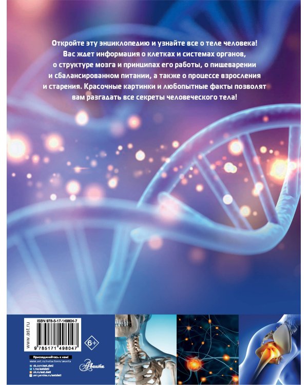 Тело человека