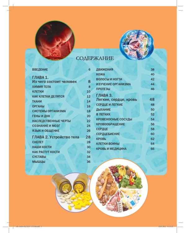 Тело человека