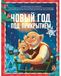 Новый год под прикрытием