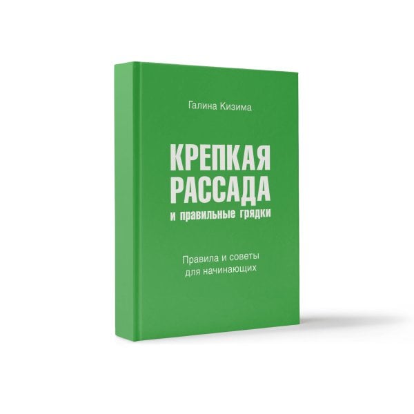 Крепкая рассада и правильные грядки. Правила и советы для начинающих
