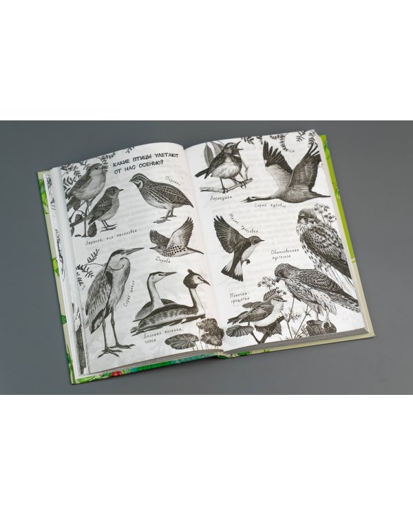 Хрестоматия для дошкольников