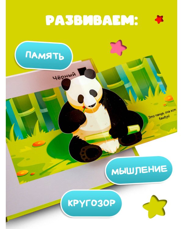 Цвета