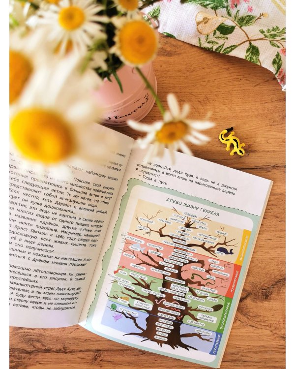 Увлекательная биология. Детская энциклопедия (Чевостик) (Paperback)