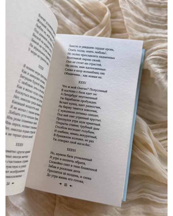Евгений Онегин