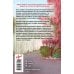 Дополнительное изображение книги «Возвращение в кофейню "4 минуты 33 секунды"»