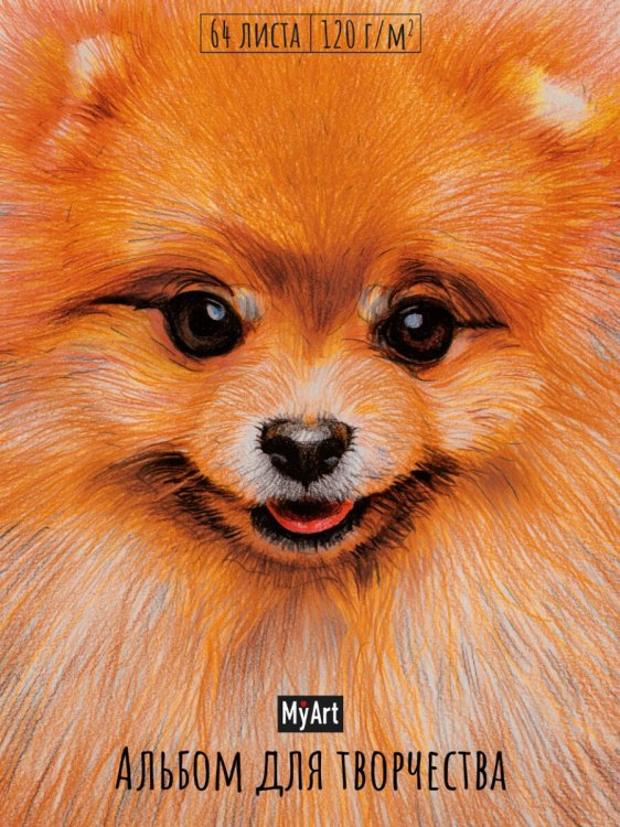 My Art. АЛЬБОМ ДЛЯ ТВОРЧЕСТВА. ШПИЦ