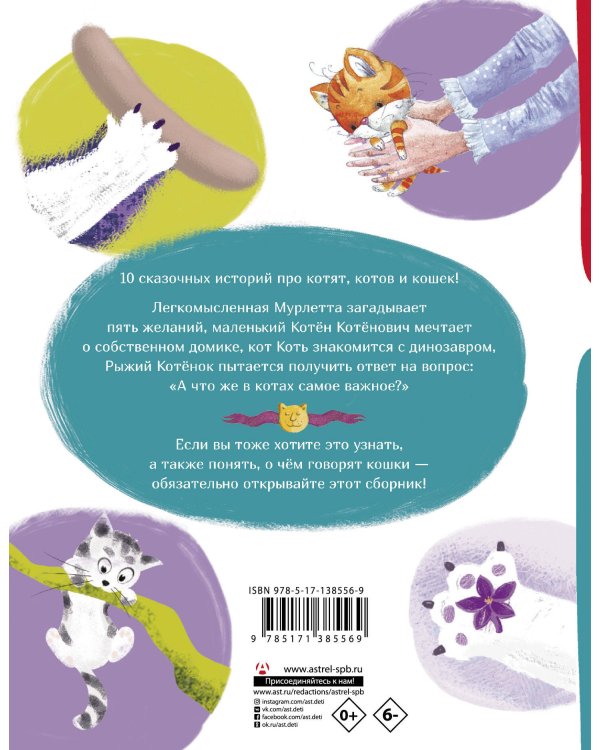 О чем говорят кошки