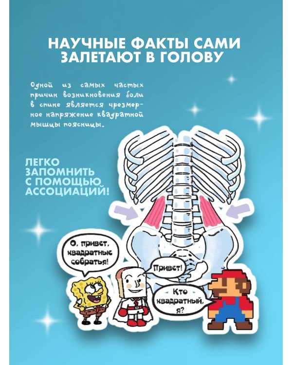 Невероятно наглядная анатомия