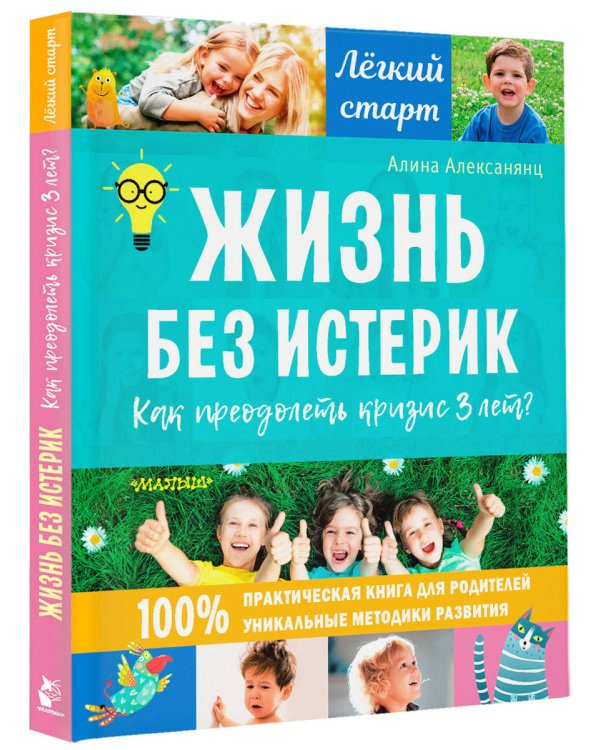 Жизнь без истерик. Как преодолеть кризис 3 лет?