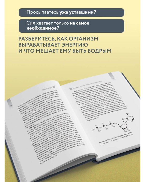 Дополнительное изображение книги «Верни свою энергию. Как восполнить дефицит питательных веществ, избавиться от хронической усталости и продлить молодость»