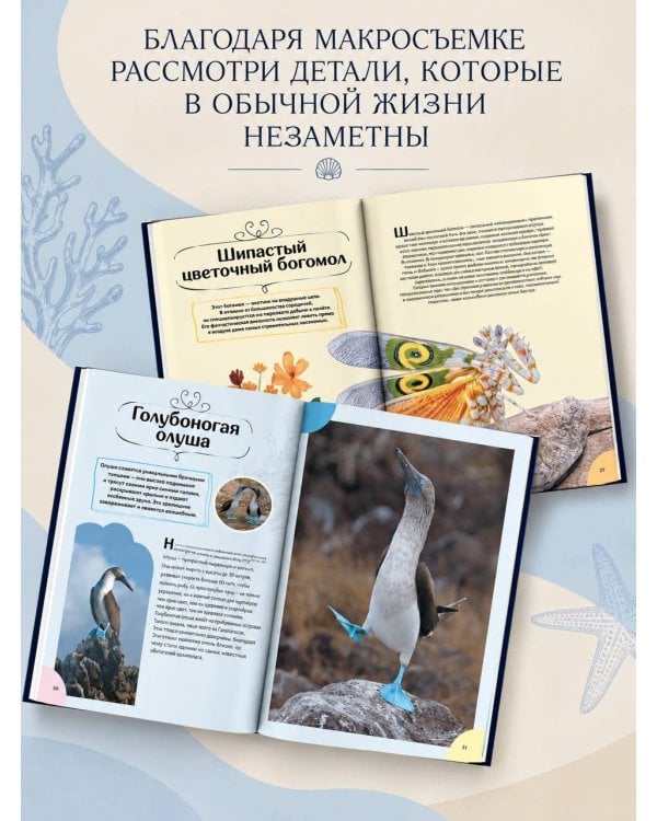 Дополнительное изображение книги «Большая книга обо всём»