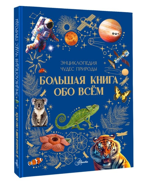 Дополнительное изображение книги «Большая книга обо всём»