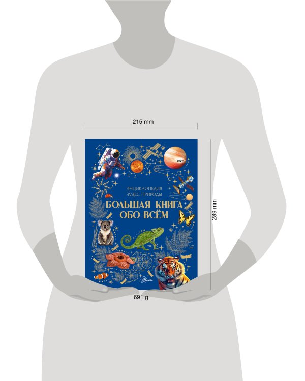 Дополнительное изображение книги «Большая книга обо всём»