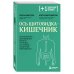 Ось щитовидка - кишечник. Как вылечить щитовидную железу, улучшив состояние кишечной микробиоты