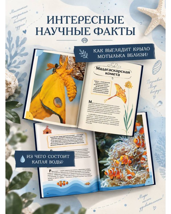 Дополнительное изображение книги «Большая книга обо всём»