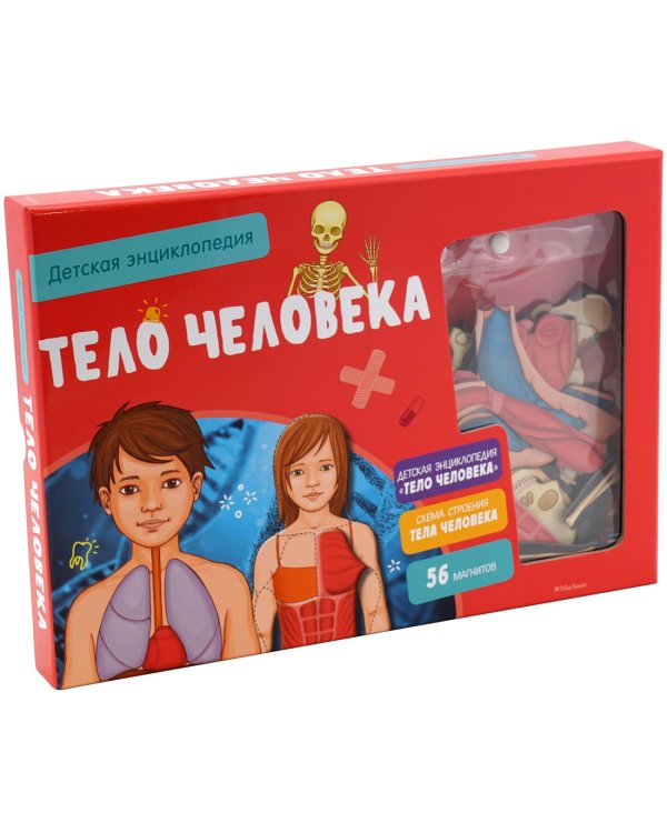 Тело человека. Детская энциклопедия (нов.оф.) (в коробке)