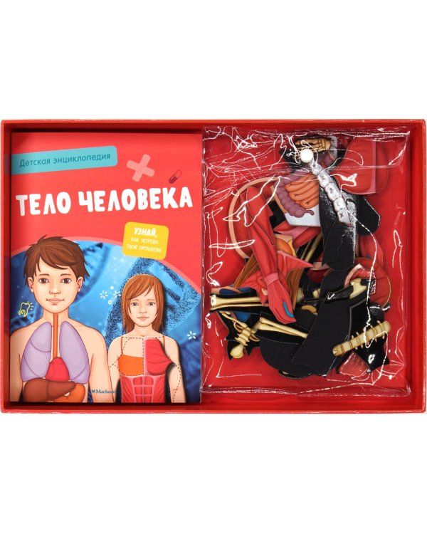 Тело человека. Детская энциклопедия (нов.оф.) (в коробке)
