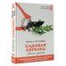 Садовая обрезка. Особенности обрезки плодовых растений и кустарников своими руками