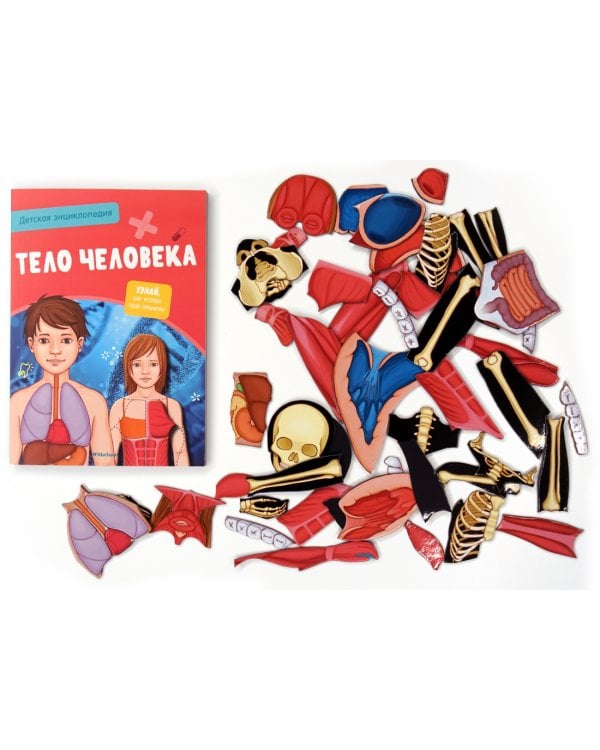 Тело человека. Детская энциклопедия (нов.оф.) (в коробке)
