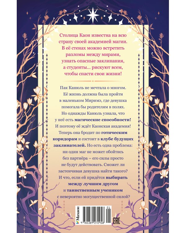 Дополнительное изображение книги «Маги Каона. Академия между мирами»
