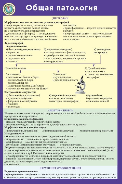 Наглядные пособия (шпаргалки) Общая патология